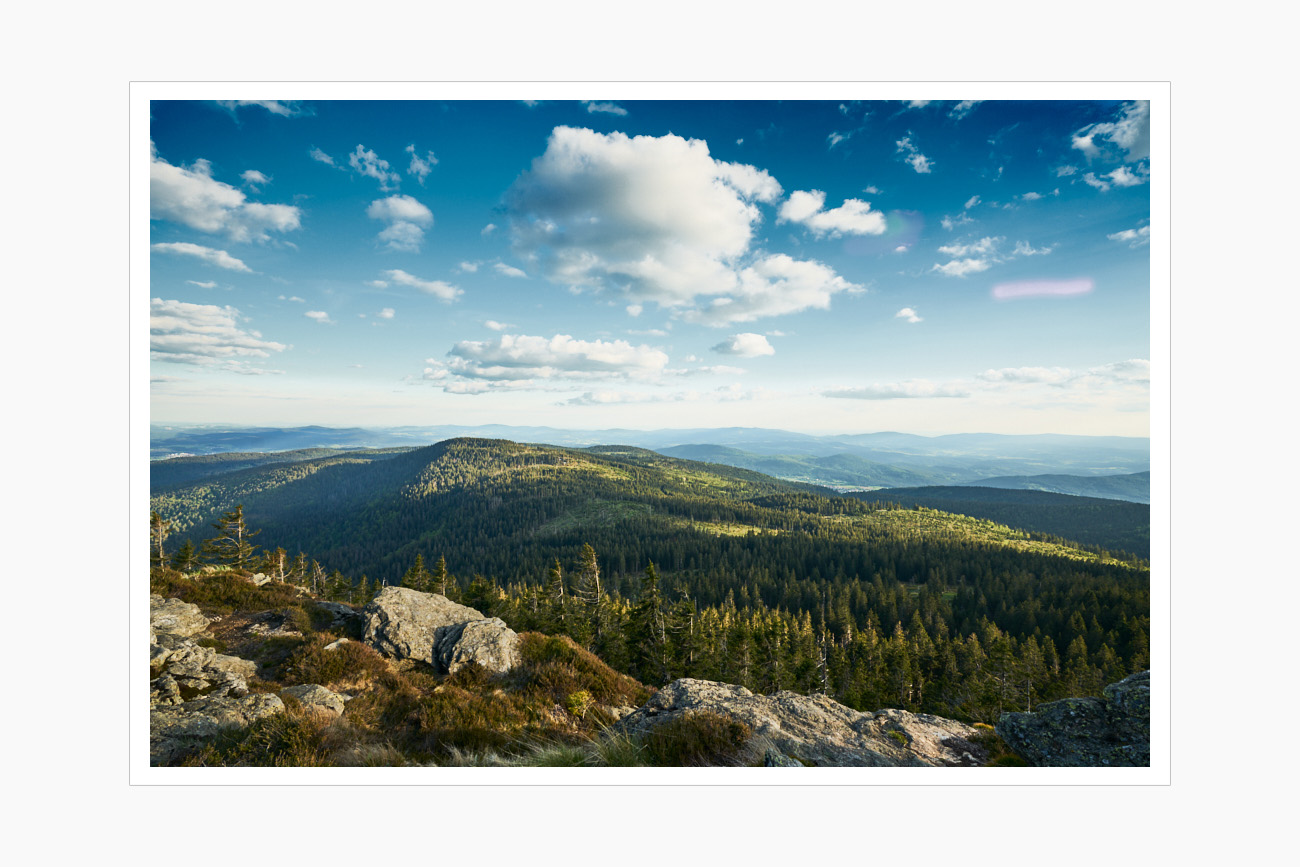 Max Schiefele Alle Bilder  DS10169